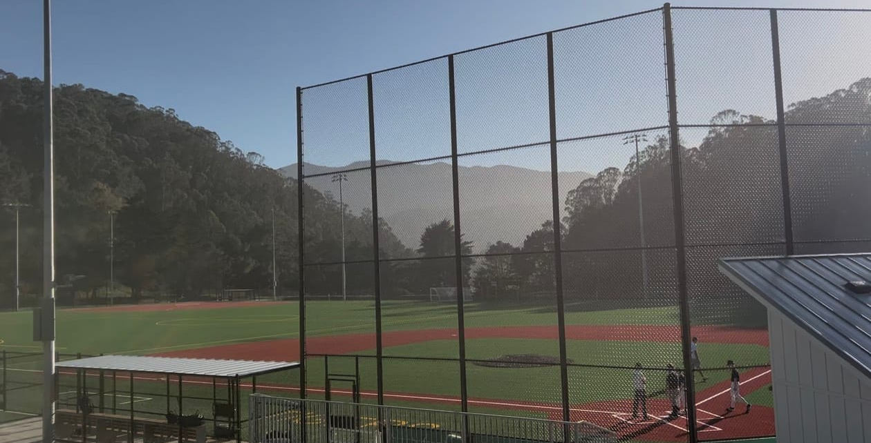 Tigers are home again