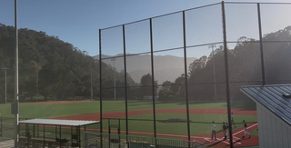 Tigers are home again